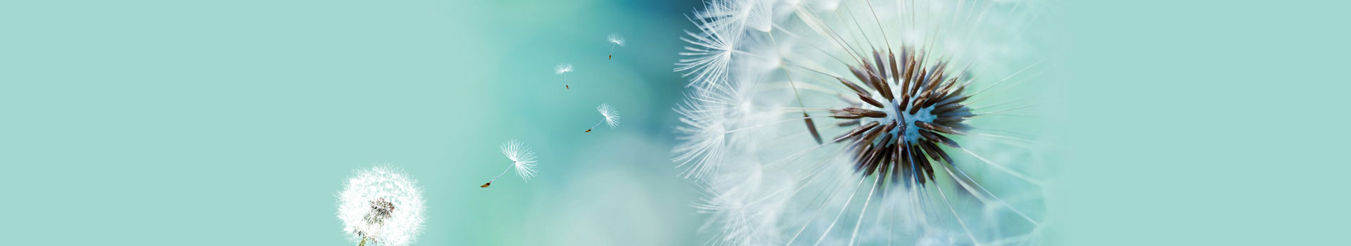 廣州過期食品銷毀,報廢食品處理,銷毀不合格食品,過期化妝品銷毀,面膜銷毀,護膚品銷毀